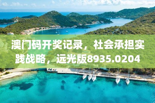 澳门码开奖记录，社会承担实践战略，远光版8935.0204