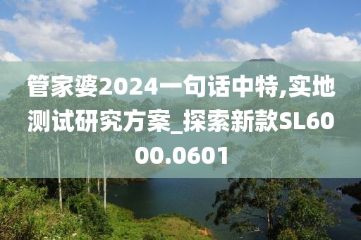 管家婆2024一句话中特,实地测试研究方案_探索新款SL6000.0601