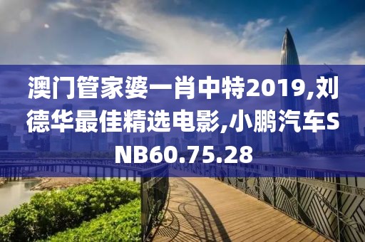 澳门管家婆一肖中特2019,刘德华最佳精选电影,小鹏汽车SNB60.75.28