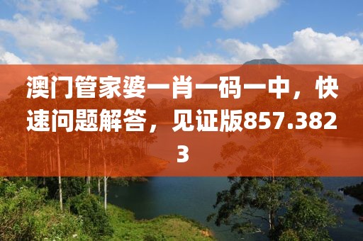 澳门管家婆一肖一码一中，快速问题解答，见证版857.3823