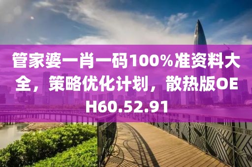 管家婆一肖一码100%准资料大全，策略优化计划，散热版OEH60.52.91