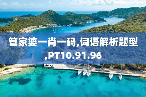 管家婆一肖一码,词语解析题型,PT10.91.96