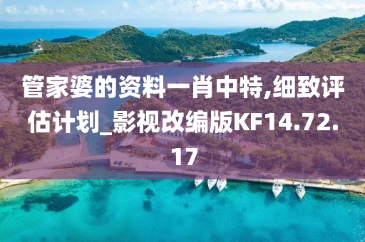 管家婆的资料一肖中特,细致评估计划_影视改编版KF14.72.17