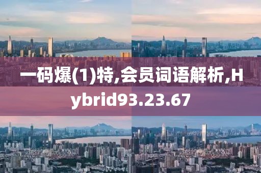 一码爆(1)特,会员词语解析,Hybrid93.23.67