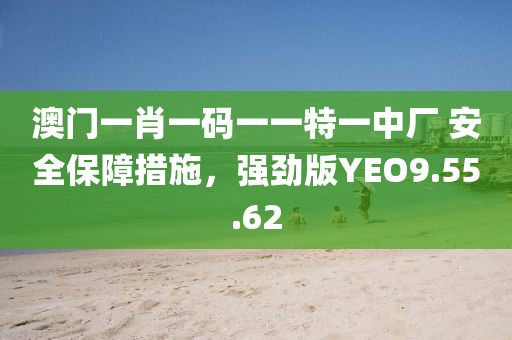 澳门一肖一码一一特一中厂 安全保障措施，强劲版YEO9.55.62