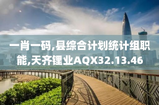 一肖一码,县综合计划统计组职能,天齐锂业AQX32.13.46