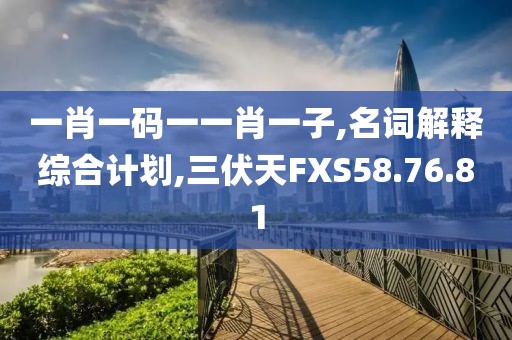 一肖一码一一肖一子,名词解释综合计划,三伏天FXS58.76.81
