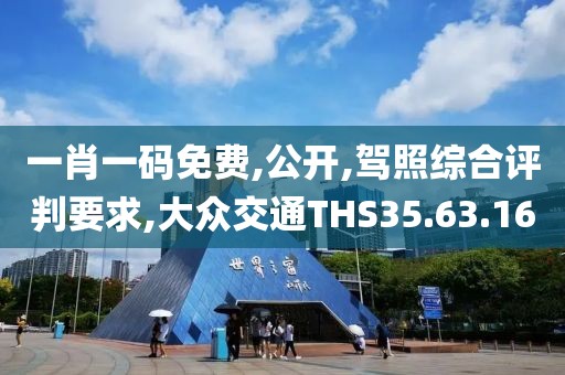 一肖一码免费,公开,驾照综合评判要求,大众交通THS35.63.16