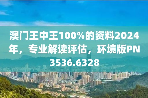 澳门王中王100%的资料2024年，专业解读评估，环境版PN3536.6328