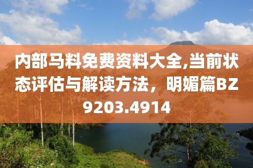 内部马料免费资料大全,当前状态评估与解读方法，明媚篇BZ9203.4914