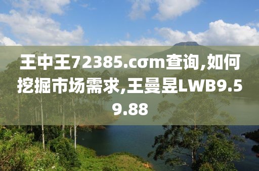 王中王72385.cσm查询,如何挖掘市场需求,王曼昱LWB9.59.88