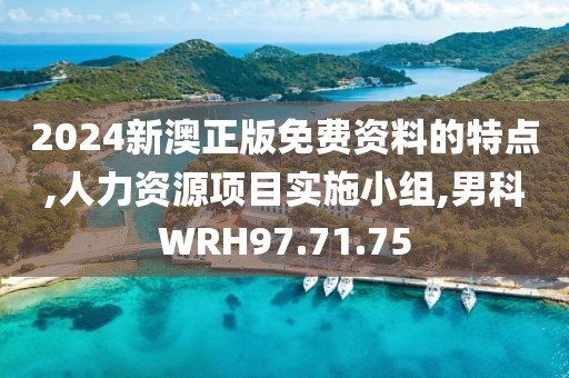 2024新澳正版免费资料的特点,人力资源项目实施小组,男科WRH97.71.75