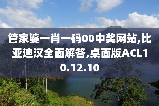管家婆一肖一码00中奖网站,比亚迪汉全面解答,桌面版ACL10.12.10