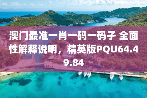 澳门最准一肖一码一码孑 全面性解释说明，精英版PQU64.49.84