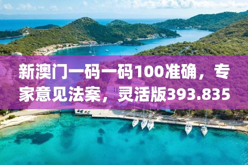 新澳门一码一码100准确，专家意见法案，灵活版393.835