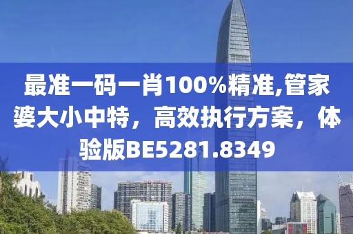 最准一码一肖100%精准,管家婆大小中特，高效执行方案，体验版BE5281.8349