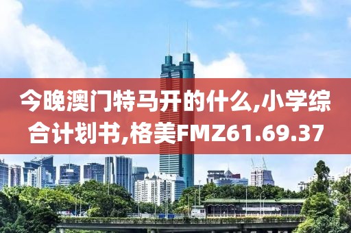 今晚澳门特马开的什么,小学综合计划书,格美FMZ61.69.37