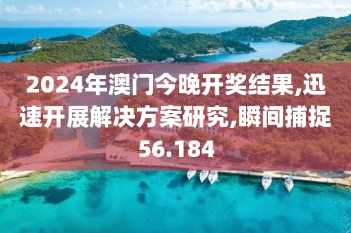 2024年澳门今晚开奖结果,迅速开展解决方案研究,瞬间捕捉56.184