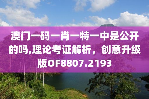 澳门一码一肖一特一中是公开的吗,理论考证解析，创意升级版OF8807.2193