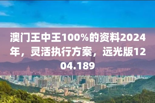 澳门王中王100%的资料2024年，灵活执行方案，远光版1204.189