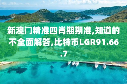 新澳门精准四肖期期准,知道的不全面解答,比特币LGR91.66.7