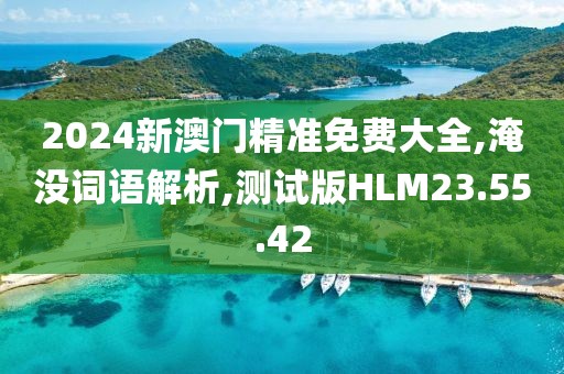 2024新澳门精准免费大全,淹没词语解析,测试版HLM23.55.42