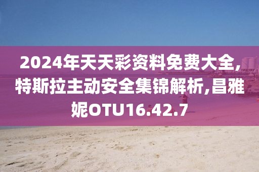 2024年天天彩资料免费大全,特斯拉主动安全集锦解析,昌雅妮OTU16.42.7