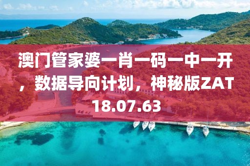 澳门管家婆一肖一码一中一开，数据导向计划，神秘版ZAT18.07.63