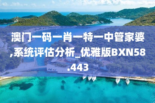 澳门一码一肖一特一中管家婆,系统评估分析_优雅版BXN58.443