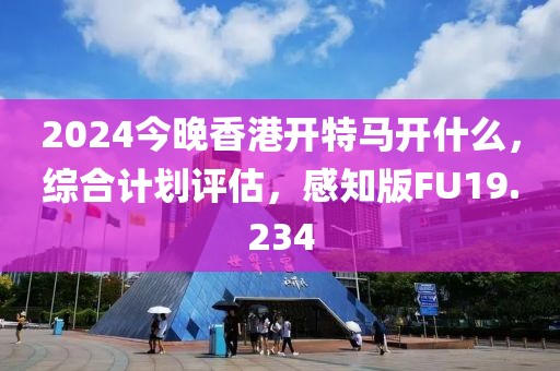 2024今晚香港开特马开什么，综合计划评估，感知版FU19.234