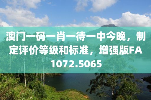 澳门一码一肖一待一中今晚，制定评价等级和标准，增强版FA1072.5065