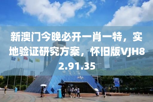 新澳门今晚必开一肖一特，实地验证研究方案，怀旧版VJH82.91.35