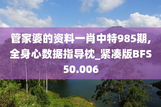 管家婆的资料一肖中特985期,全身心数据指导枕_紧凑版BFS50.006