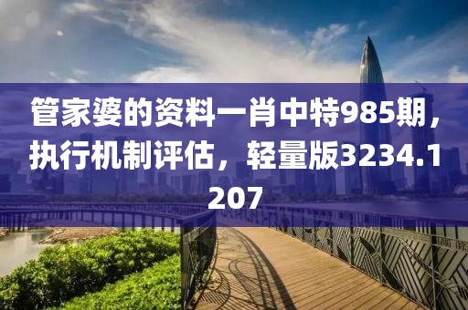 管家婆的资料一肖中特985期，执行机制评估，轻量版3234.1207