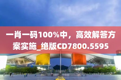 一肖一码100%中，高效解答方案实施_绝版CD7800.5595