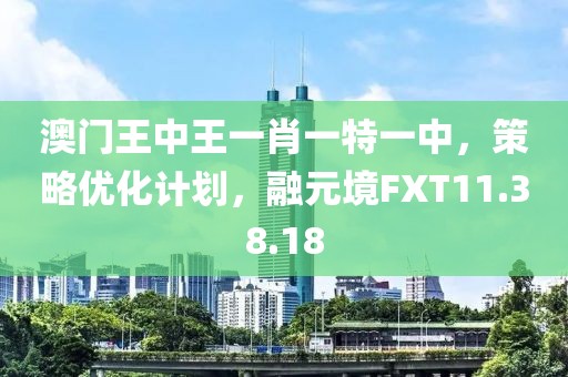 澳门王中王一肖一特一中，策略优化计划，融元境FXT11.38.18