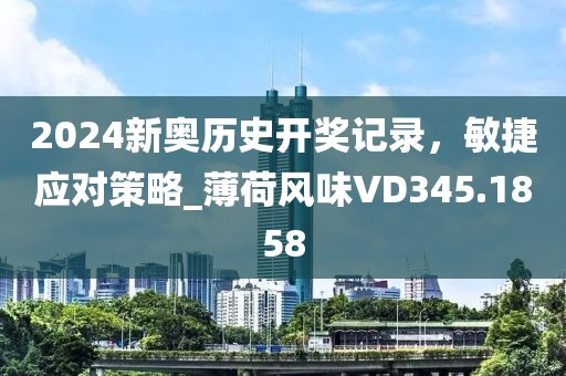 2024新奥历史开奖记录，敏捷应对策略_薄荷风味VD345.1858