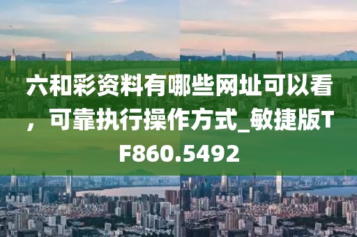 六和彩资料有哪些网址可以看，可靠执行操作方式_敏捷版TF860.5492