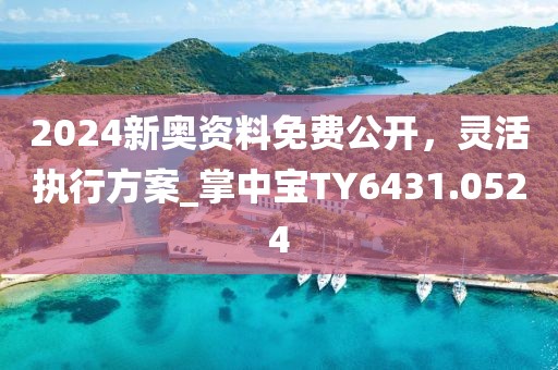 2024新奥资料免费公开，灵活执行方案_掌中宝TY6431.0524