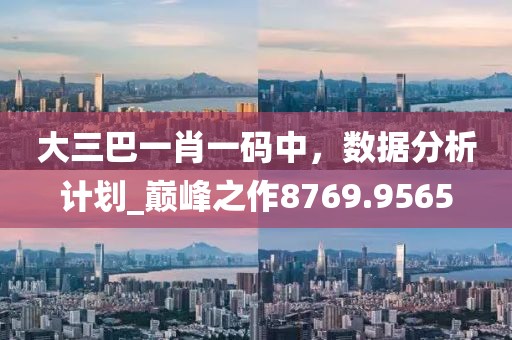 大三巴一肖一码中，数据分析计划_巅峰之作8769.9565