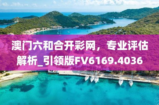 澳门六和合开彩网，专业评估解析_引领版FV6169.4036