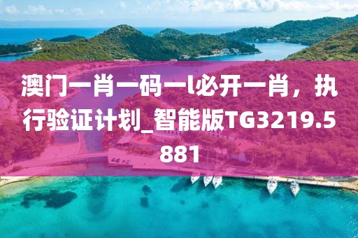 澳门一肖一码一l必开一肖，执行验证计划_智能版TG3219.5881