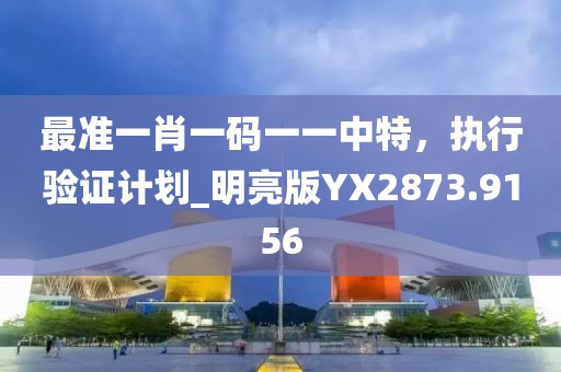 最准一肖一码一一中特，执行验证计划_明亮版YX2873.9156