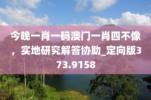 今晚一肖一码澳门一肖四不像，实地研究解答协助_定向版373.9158