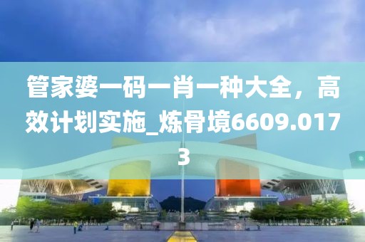 管家婆一码一肖一种大全，高效计划实施_炼骨境6609.0173