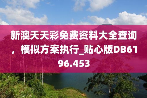 新澳天天彩免费资料大全查询，模拟方案执行_贴心版DB6196.453