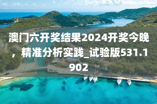 澳门六开奖结果2024开奖今晚，精准分析实践_试验版531.1902