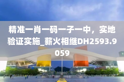 精准一肖一码一子一中，实地验证实施_薪火相继DH2593.9059