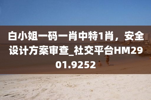 白小姐一码一肖中特1肖，安全设计方案审查_社交平台HM2901.9252