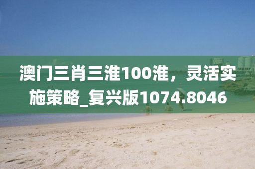 澳门三肖三淮100淮，灵活实施策略_复兴版1074.8046